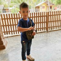 Fauzar Nhg (@fauzarnhg54130) 's Twitter Profile