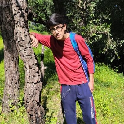 AkshitRaheja5's profile picture. "👋 Tech enthusiast  | 📱 Gadget lover | 🌍 Exploring the digital frontier | 📚 Student @TheBritishCoEd | 🤖 Embracing the future one byte at a time |