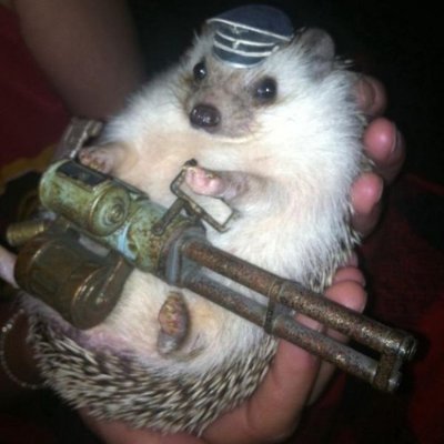 alette1308's profile picture. Amante de la Pizza Hawaina :3