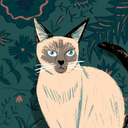 Mohammed Alsadah - @MohammedAl69647 - Twitter