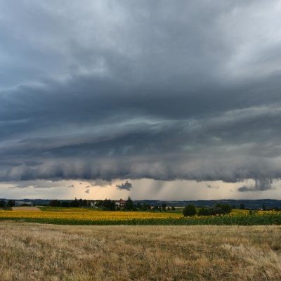 Discord Météo partenaire d'Infoclimat traitant le live, la prévision et la climatologie FR. D'autres sujets généraux sont ouverts !