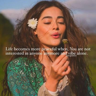 VioletF73313526's profile picture. 