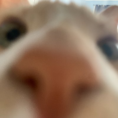 Eminemily0817's profile picture. 18 | Virgo♍️ | Writer | Whore | INFP