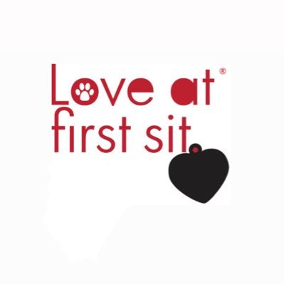 loveatfirstsit's profile picture. ❤️🐾 Pet Care & Dog Behavior & Training 🐾Specializing in shelter & rescue Pets!