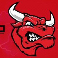 Rayo Bull esp (@rayobull_fc) 's Twitter Profile