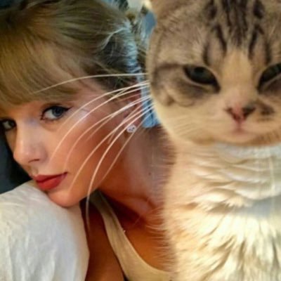 lovernswiftie's profile picture. she/her || stream speak now tv💜💜💜💜💜💜💜💜💜
