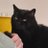 gabi_claudiano's profile image