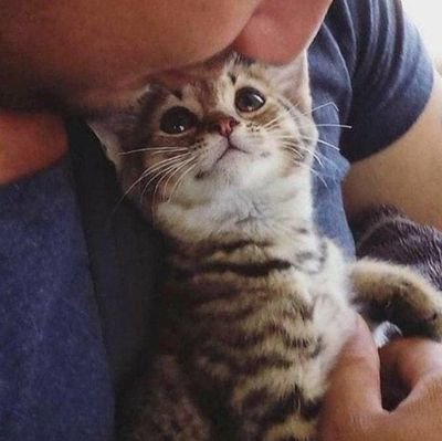 dark_gow's profile picture. 