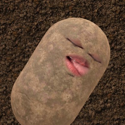 nurzti's profile picture. 24/7 ranting about lifes