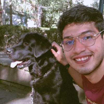 Candidato a doctor en Inteligencia Artificial (@IIIA_UV).
Me apasiona todo sobre Inteligencia Artificial, aprendizaje automático, análisis de datos y #dataviz.