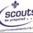 Cottinghamscout's profile image
