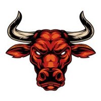 The Sorare Bull(@Sorare_Bulls) 's Twitter Profile Photo