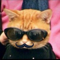 kayak🥪 (@kayaklmao) 's Twitter Profile Photo kayak🥪 (@kayaklmao) 's Twitter Profile Photo
