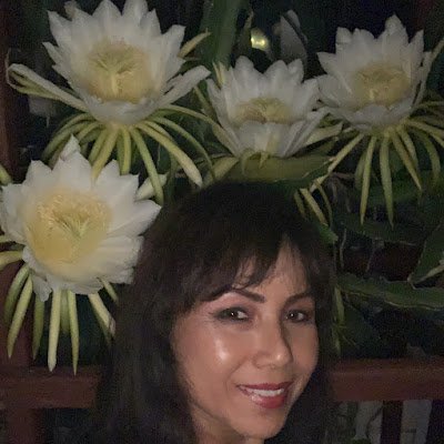 KimWidrig's profile picture. 