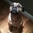 JoePressney's profile image