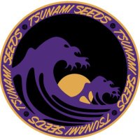 Tsunami (@tsunamiseeds) Twitter profile photo