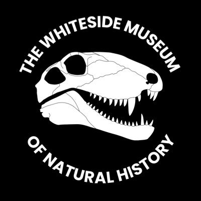 Specializing in the education of the public regarding natural history; Focusing on local ecology and paleontology from the Permian age.