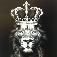 King For A Day!!(@KingForaDay__1) 's Twitter Profile Photo