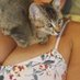 Linda (@linda_sniff_) Twitter profile photo Linda (@linda_sniff_) Twitter profile photo