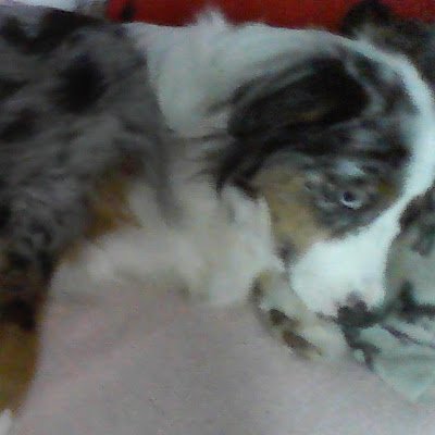 BeuSamanth3933's profile picture. 