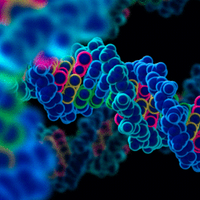 Heart Centre Biobank (@hcbiobank) 's Twitter Profile Photo