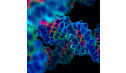 Heart Centre Biobank (@hcbiobank) Twitter profile photo