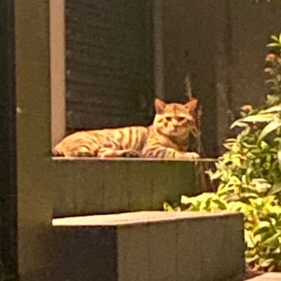 kiwamuseyama's profile picture. 絵/生活