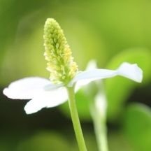 fang_tian92300's profile picture. 