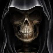 Pestilence 🇵🇸さんのプロフィール画像