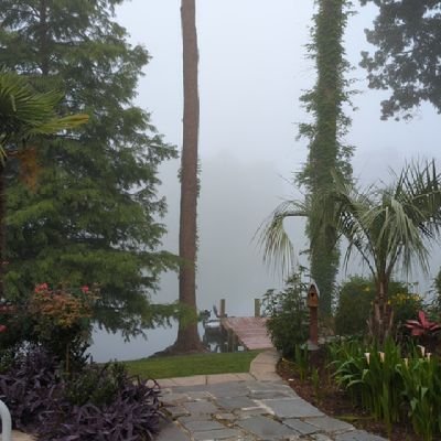 farr28685's profile picture. 