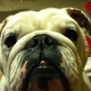 Teddy Randall - @jterrill197 - Twitter