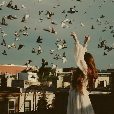 Mashaeel_10's profile picture. • حايل • ✨🍃