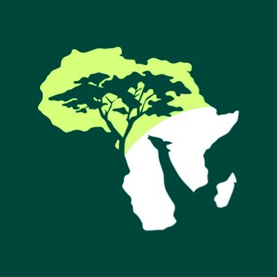 Embark on extraordinary adventures with us, the premier Pan-African travel company showcasing the beauty of Africa through thrilling travels 🏝️🌍✨