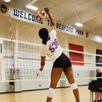 Layla F. Collins (@lcollins53) 's Twitter Profile