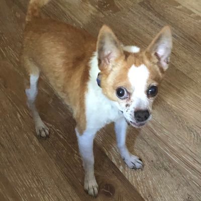 DavidMa86026233's profile picture. 