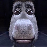 Tristan (@triscsgo) 's Twitter Profile
