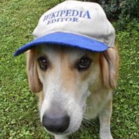 Chris Parkin (@c_parkin) 's Twitter Profile