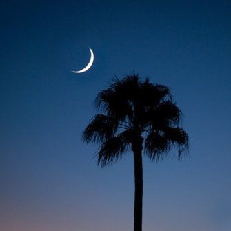 SC_Hawk_V's profile picture. 