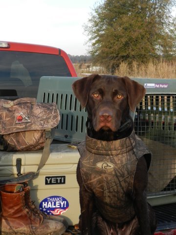 KennyRayEllis's profile picture. 