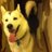 K4M_K4M's profile image
