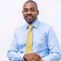 (Shumba/ Nyamuzihwa /Nehoreka). (@mushapps) 's Twitter Profile