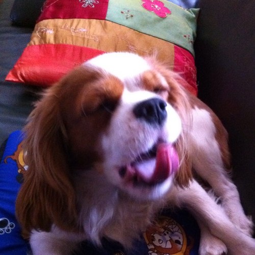 Federico_Bin's profile picture. 