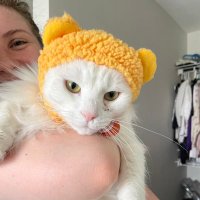 sadie pants + murphy (@sadiepantscat) 's Twitter Profile Photo sadie pants + murphy (@sadiepantscat) 's Twitter Profile Photo