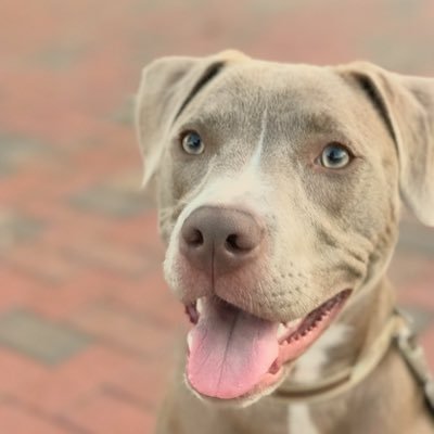 TheShotgun7's profile picture. $SOFI $BMNR $FIG