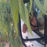 سعيد (@syd916351729865) 's Twitter Profile