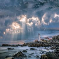 Tamms06 (@tamms061) 's Twitter Profile