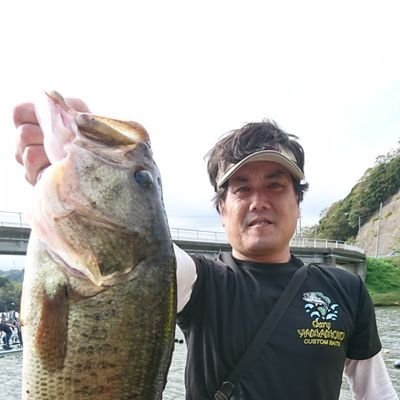 ToshiYoko55 Profile Picture