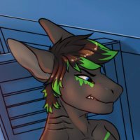 1800 SHARK 4U (@falcorerigo) 's Twitter Profile