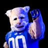 TheCosmoCougar's profile picture. Official Mascot of BYU | 2020 MASCOT NATIONAL CHAMPION 🏆