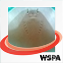 SaraDuffus's profile picture. 